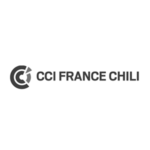 Logo_Francia-CCI (1)